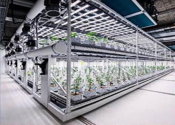 Custom Aeroponics Hydroponics System For Planting